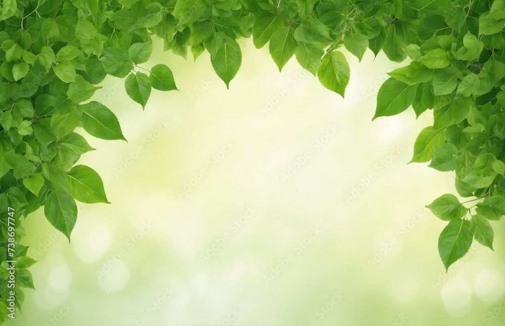Obraz premium green leaves background with copy space