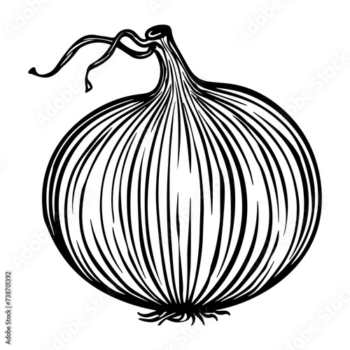 Wallpaper Mural Onion vector icon. Vegetable symbol Torontodigital.ca