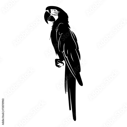 Parrot vector silhouette illustration