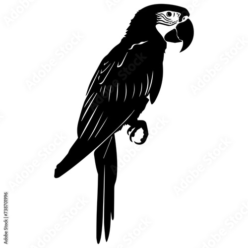 Parrot vector silhouette illustration