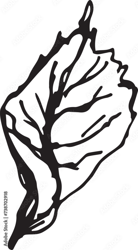 Fototapeta premium Hand drawn black rosehip. Vintage rosehip, great design for any purposes.