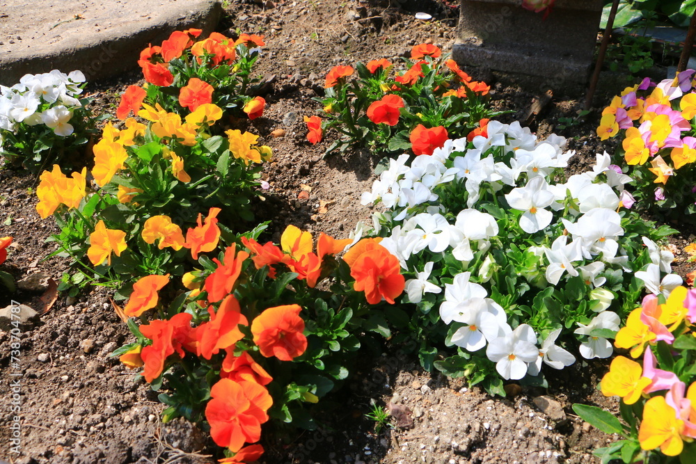 花