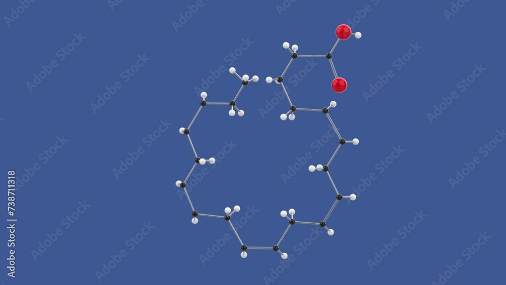 Eicosapentaenoic acid, Omega 3 EPA, 3D molecule structure loop