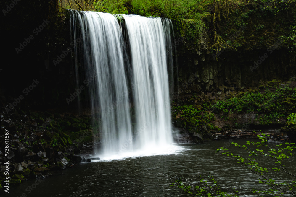 Obraz premium waterfall in the forest in oregon usa