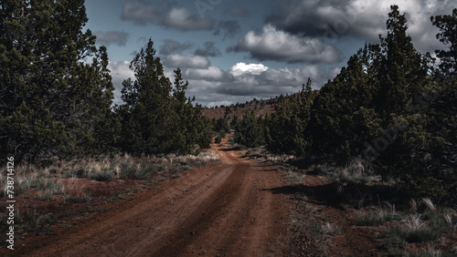 Photography forest dirt road in the mountains