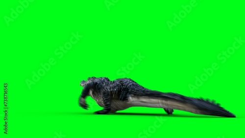 Wallpaper Mural Running aggressive crocodile, alligator, reptile. 4k green screen isolate. Torontodigital.ca