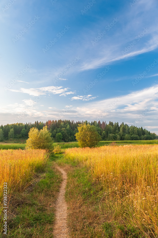 Beautiful autumn landscape with meadows, forests, expensive and beautiful blue sky with clouds.