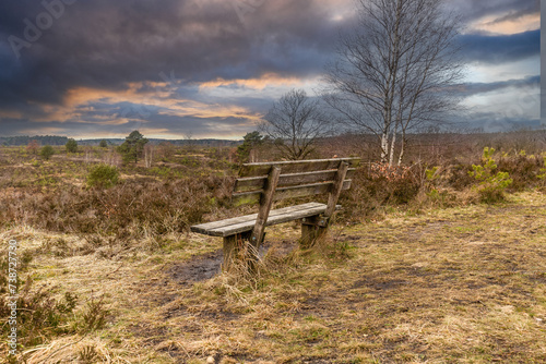 Lüneburger Heide im Winter