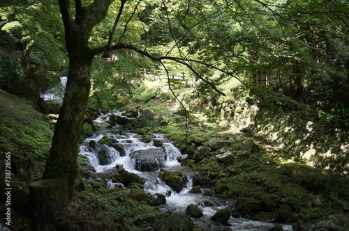 Japanese River