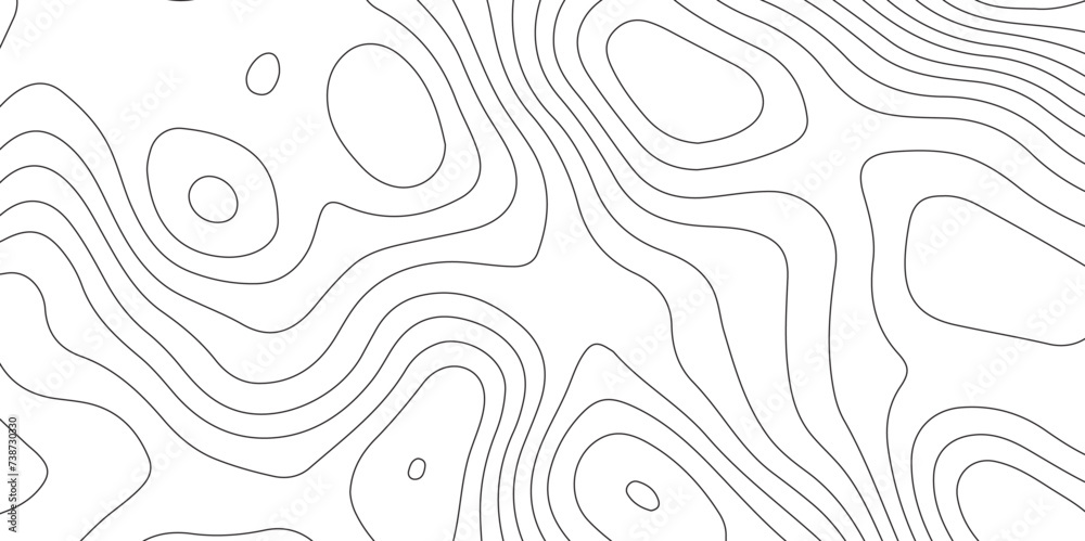 Topographic map background geographic line map . geography concept vector illustration topo contour grid abstract backdrop background .luxury abstract black line art design . - obrazy, fototapety, plakaty 