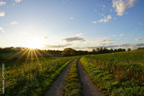 Ackerweg, Landschaft, Wiede, Acker, Sonne, Sonnenschein, Sommer, Baden-Württemberg, Renchtal, Ortenau