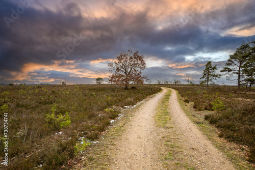 Lüneburger Heide im Winter