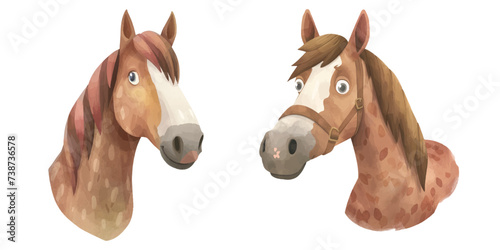 cute brown horse head watercolor illustration
