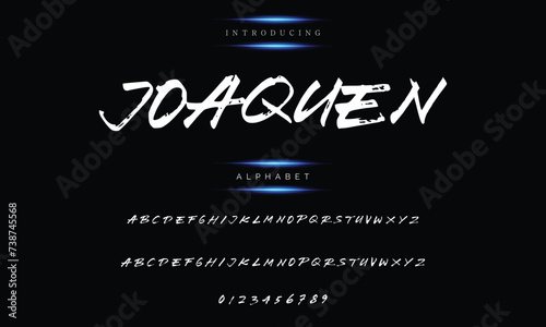 Hand-drawn calligraphic typeface with a textured dry brush appearance