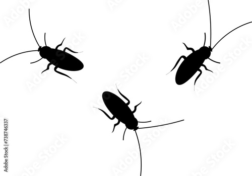 silhouette of a cockroach photo