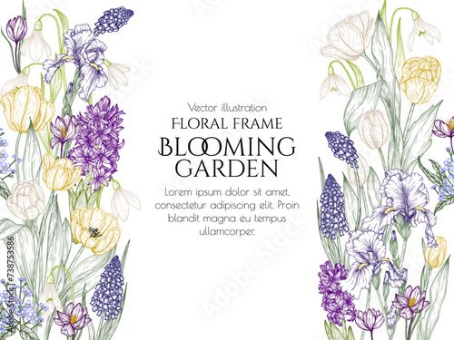 Vector illustration of spring flowers. Snowdrops, crocuses, brunnera, tulips, muscari, hyacinths, irises in engraving style