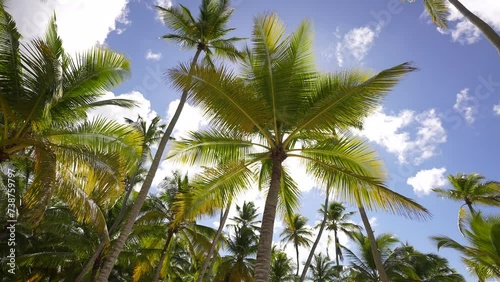 Wallpaper Mural The most beautiful tropical beaches in the world. Bali sunny sandy island and palm trees. Azure sea and golden sandy beach. Sunny day landscape. Turquoise sea and landscape of palm trees. Torontodigital.ca