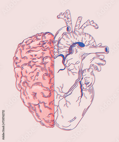 Heart And Brain Vector Illustration 3D (ID: 738762712)
