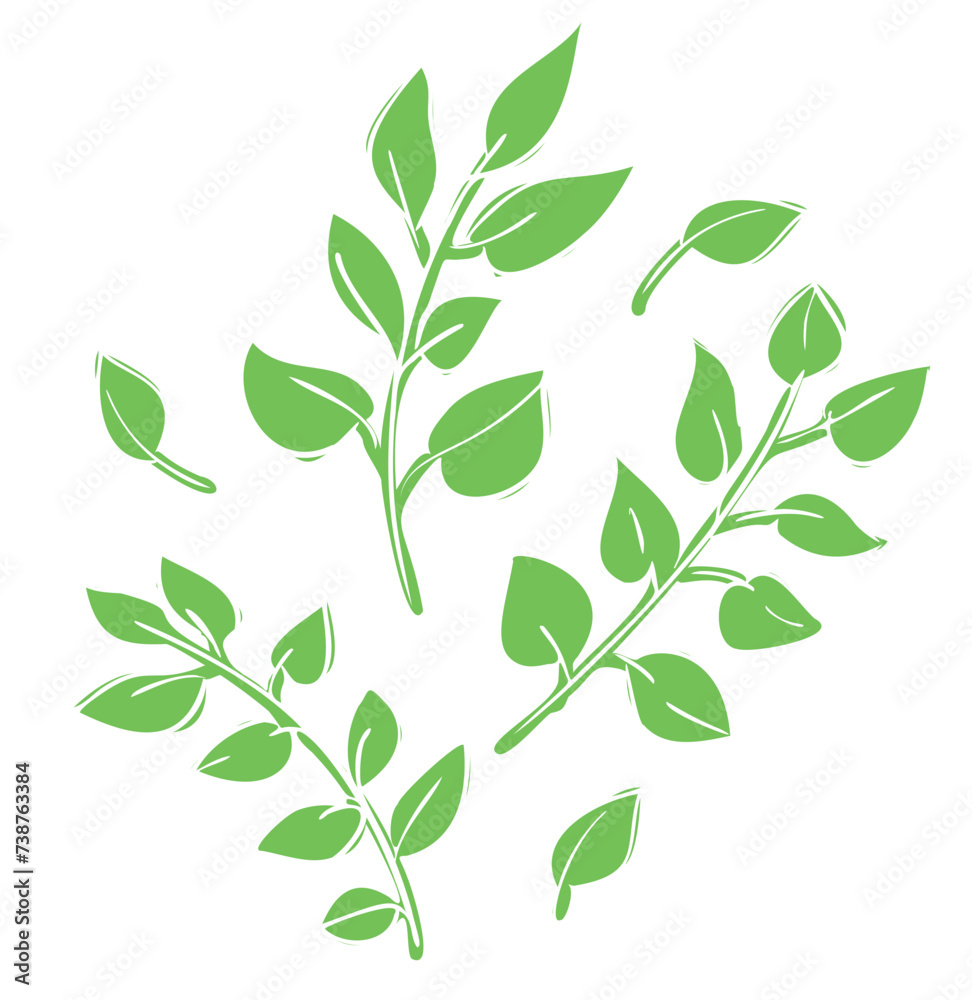 Hand drawn Green leaves, vector illustration