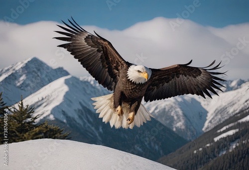 A landscape of snow-capped mountains with a majestic bald eagle hovering in the foreground among the evergreen trees at the foot of the hills.