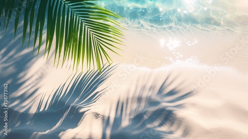 a palm tree leaf on sand © VSTOCK