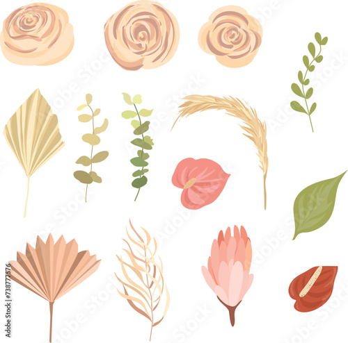 Elegant dry protea flower, tropic palm , eucalyptus, dried tropical leaves, floral elements. Vector isolated illustration set