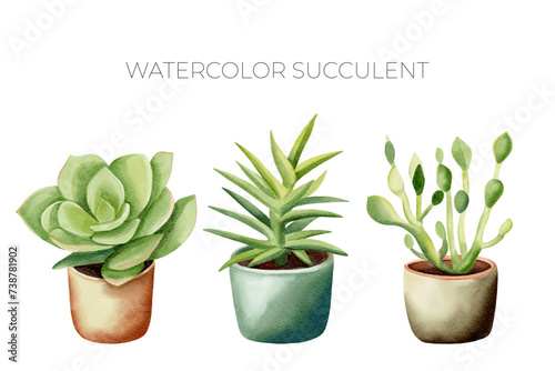 Watercolor succulent plants in pot. Set of watercolor flower pot isolated on white. Mexican plants