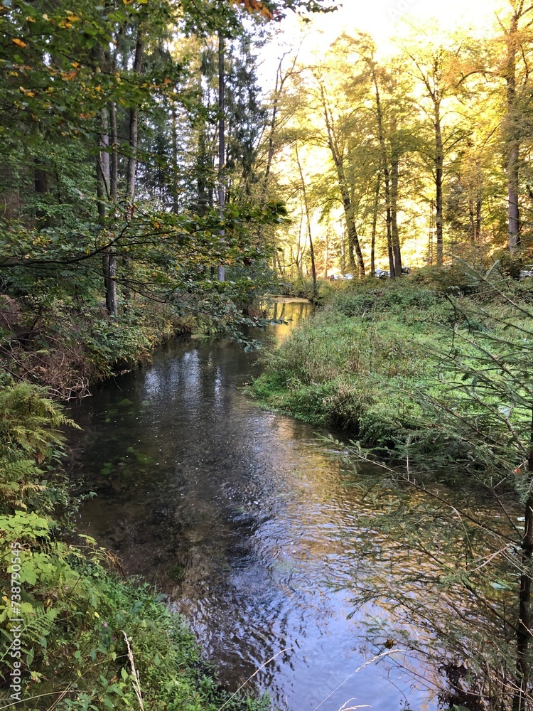 Wandern im Nationalpark Sächsische Schweiz Wandern im Nationalpark Sächsische Schweiz