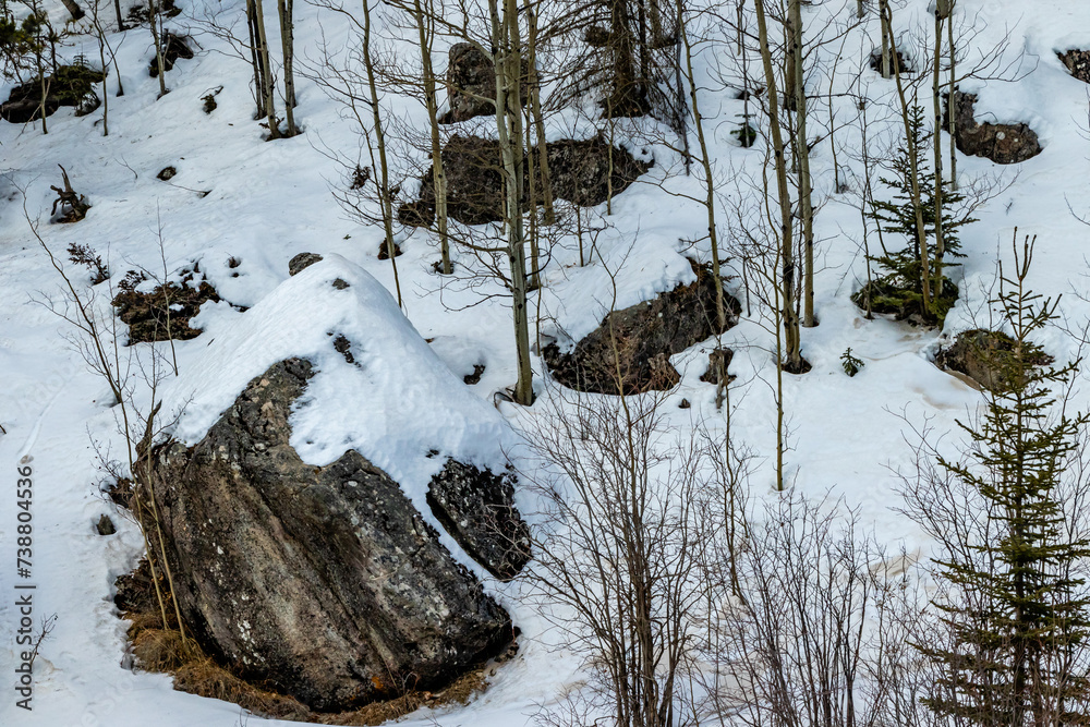 Snow covered rocks. Sibbald Creek Trail, Alberta, Canada