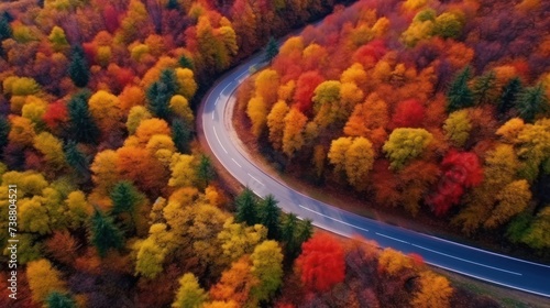 View of a beautiful forest road in colorful autumn