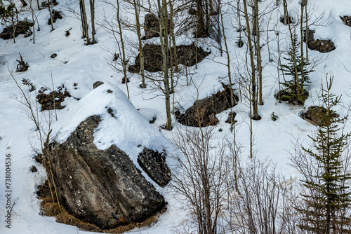 Snow covered rocks. Sibbald Creek Trail, Alberta, Canada