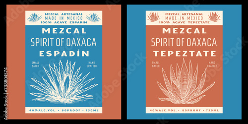 Mezcal label design template, espadin and tepeztate - agave plant vintage illustration