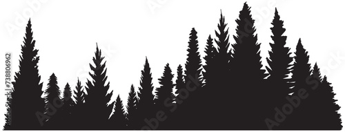 Hand drawn forest pine trees or fir trees silhouettes. Dark straight trees tranquil scene. Vintage trees and forest silhouette monochrome conifer spruce horizontal background isolated. Black evergreen photo