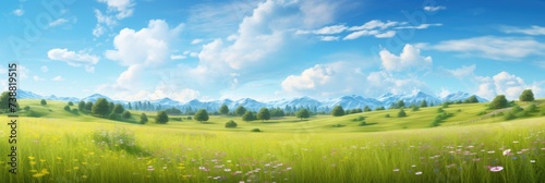 landscape with grass and blue sky © Natalia