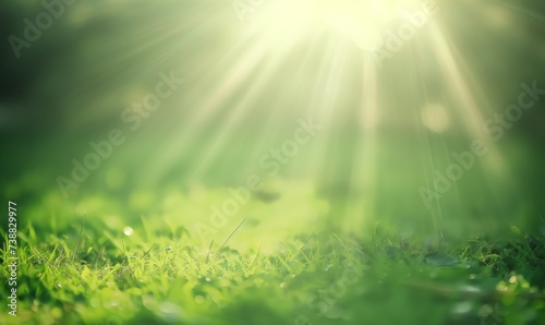 un rays on a green field with sun beams, in the style of organic abstracts, light white and light blue, bokeh photo
