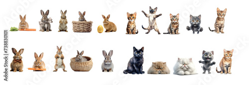 Playful Kittens and Bunnies: High-Quality Vector Illustrations Capturing Various Poses and Expressions of Adorable