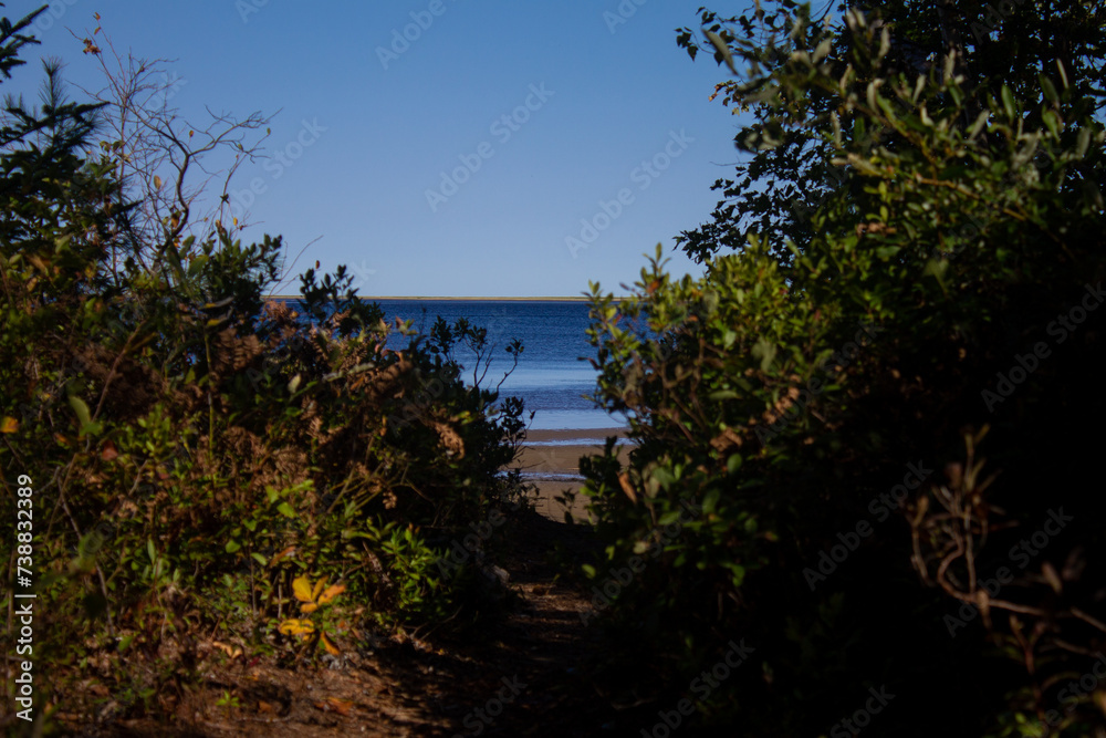 Pathway to Lake