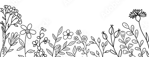 Wild blooming meadow flowers and herbs border. Horizontal banner, floral overlay backdrop. Botanical monochrome ink sketch style hand drawn vector illustration isolated on transparent background.