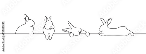 rabbit line art style vector eps 10