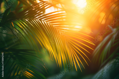 Vibrant sunny backdrop palm leaves with golden sun light.