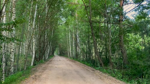 The sandy road passes through a beautiful mysterious forest. As if in a fairy tale, the crowns of the trees create an arch. It's a sunny day, a breeze is blowing.