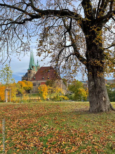 Dom in Erfurt / Thüringen im Herbst photo