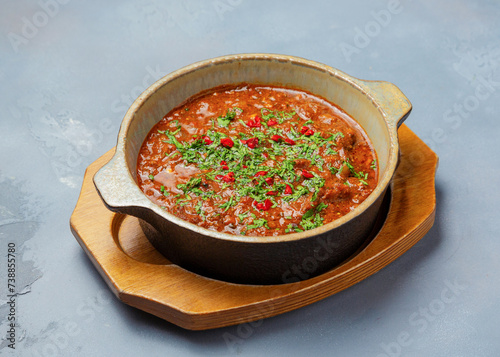 Georgian dish Chkmeruli in a plate. photo