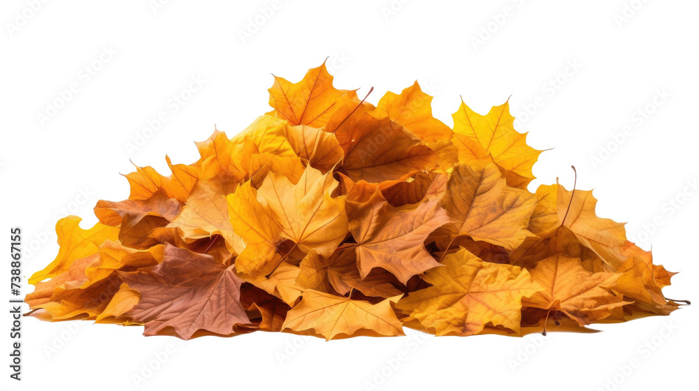 Pile of autumn leaves isolated on transparent a white background