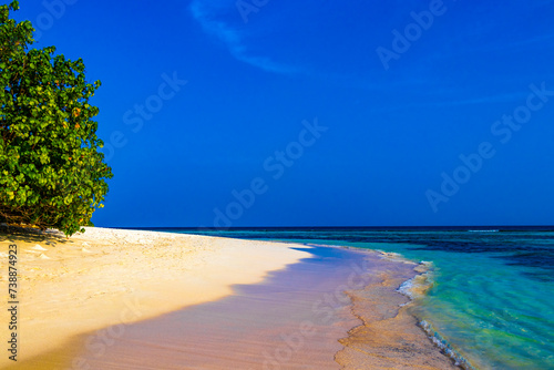 Fototapeta Naklejka Na Ścianę i Meble -  Natural tropical plants turquoise sandbank islands Madivaru Finolhu Rasdhoo Maldives.