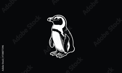 black and white illustration of African Penguin