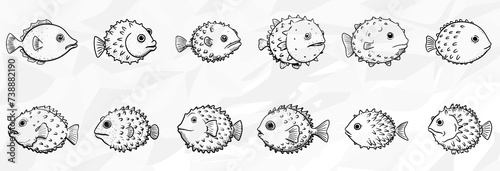 Kugelfisch: Vektorgrafik-Bundle mit verschiedenen Lineart-Zeichnungen