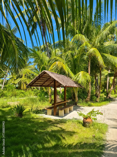 A small sand path with palm trees in the beautiful Maldives.