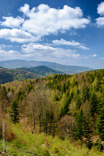 Górski wiosenny krajobraz w Beskidach