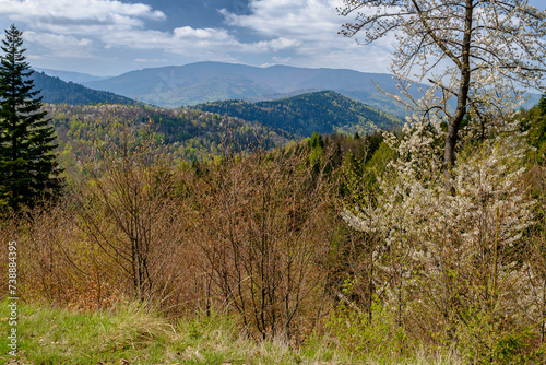 Górski wiosenny krajobraz w Beskidach